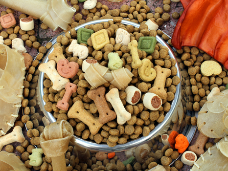 Ração para pets