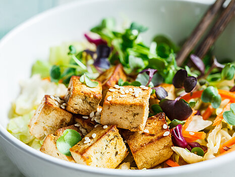 Produtos veganos, vegetarianos e proteínas alternativas veganos, vegetarianos, produtos proteínicos alternativos